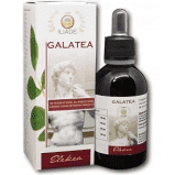 GALATEA 50ML