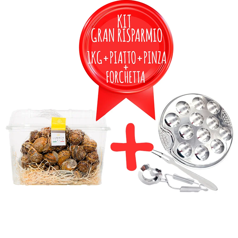 🛒 Kit Gran Risparmio: 1kg Lumache + Piatto Escargot + Accessori 🍽️ Ordina Ora!