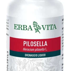 PILOSELLA 60CPS 400MG EBV<