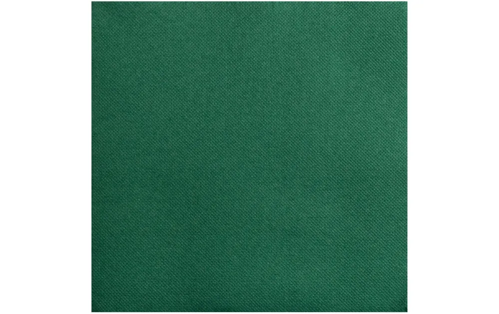 PRONAPPE Tovaglioli da cocktail – Verde – 20 × 20 cm, 2 veli – 50 pezzi