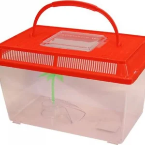 Acquario Vaschetta Pesci Tartarughe Coperchio Maniglia Presa Aria 27x16x17 Cm