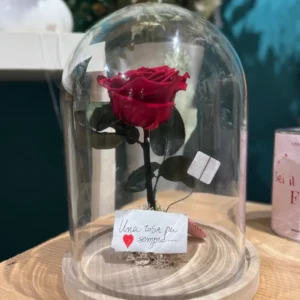 Campana di vetro 16 cm. con rosa stabilizzata